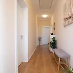 First Hill Comfortable 자다르