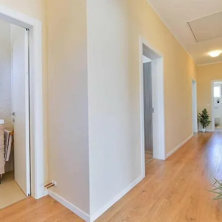 First Hill Comfortable ザダル