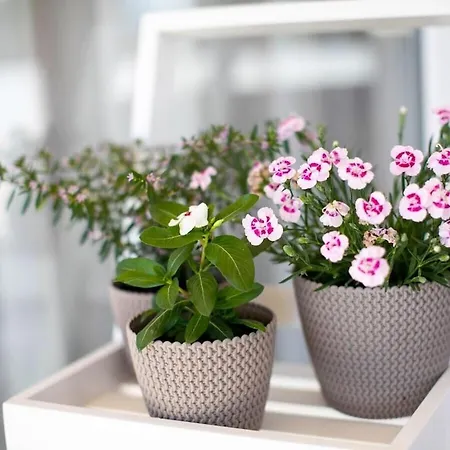 First Hill Comfortable ヴィラ *