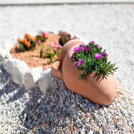 First Hill Comfortable Villa Zara