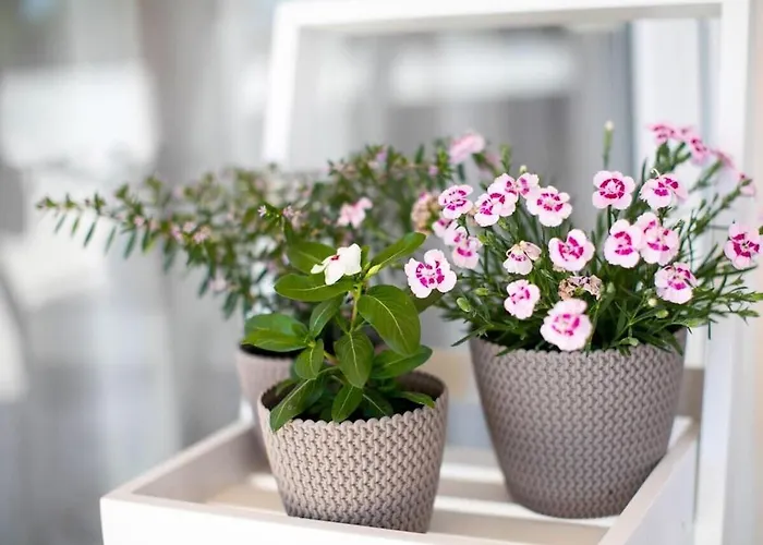 First Hill Comfortable Вилла *